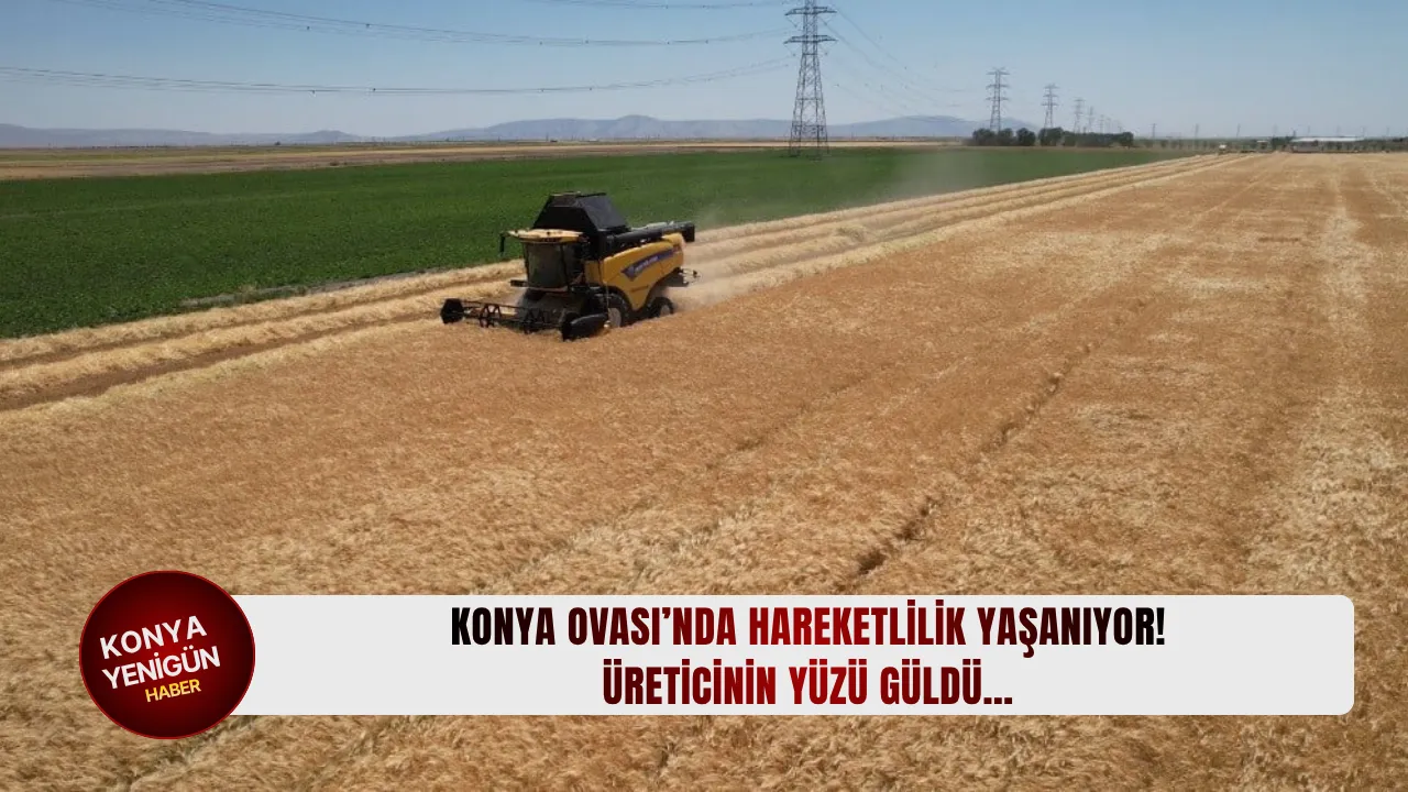 Konya Ovası'nda ekim hareketliliği doruk noktasında