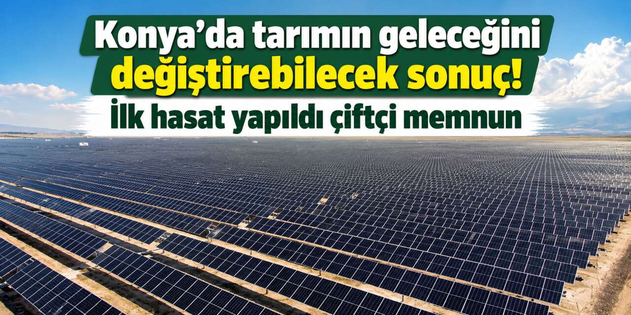 Konya Ovası’nda TarımGES: Aynı tarladan ürün ve elektrik