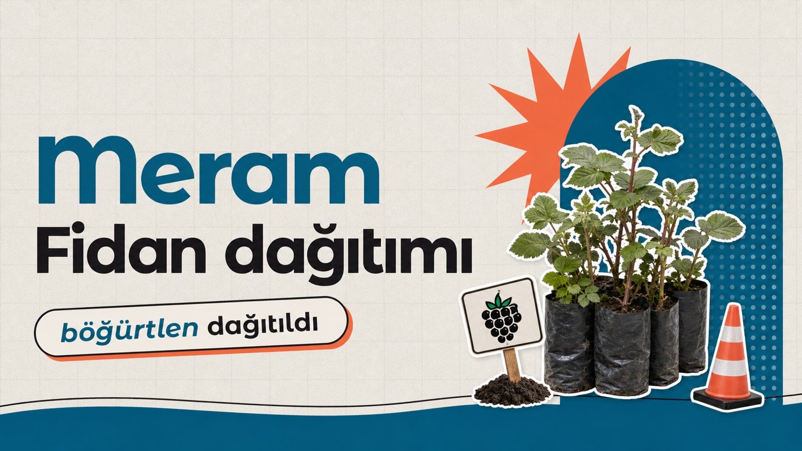 Meram ilçesinde “Organik Tarımla Doğadan Sofraya Meram Böğürtleni” projesi kapsamında 7 üreticiye dağıtılan 3.300 böğürtlen fidası ve organik gübreyi gösteriyor.