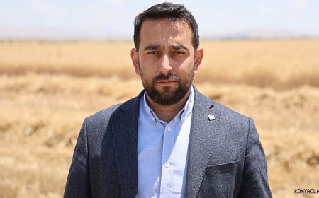 Buğday rekoltesinde düşüş