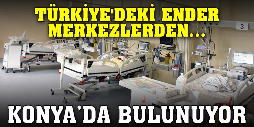 Türkiye'deki ender merkezlerden... Konya'da bulunuyor
