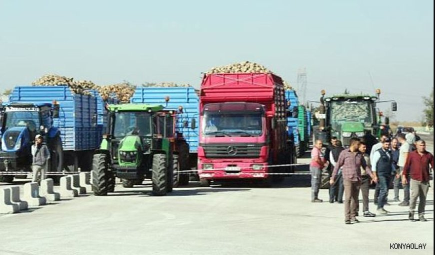 Konya ve Çumra Şeker'de pancar alım kampanyası başladı