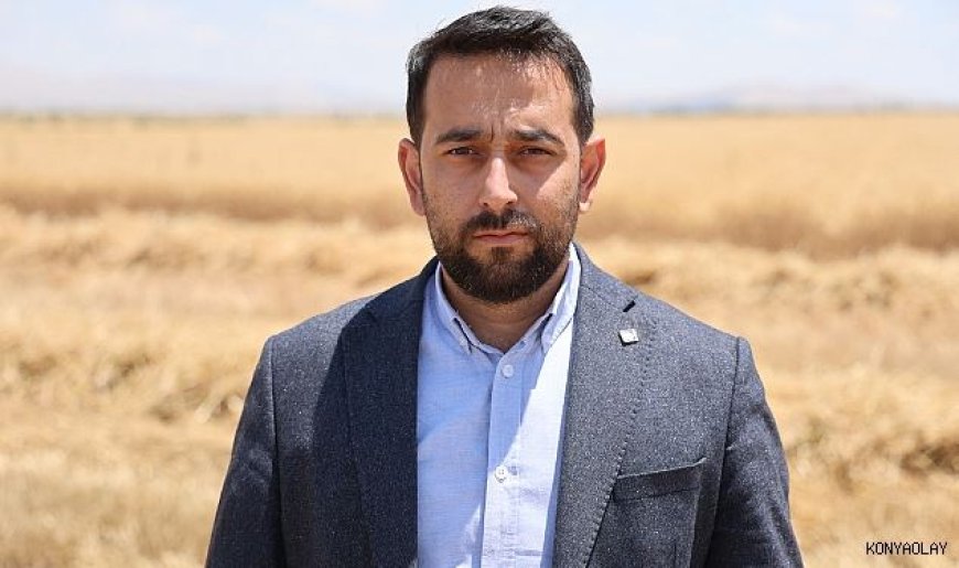Buğday rekoltesinde düşüş